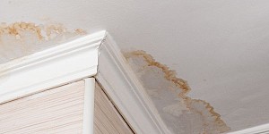 How to Minimize Secondary Water Damage