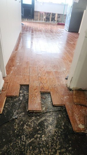 Residential Flood Damage