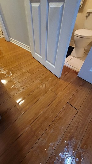 Water Damage Signs