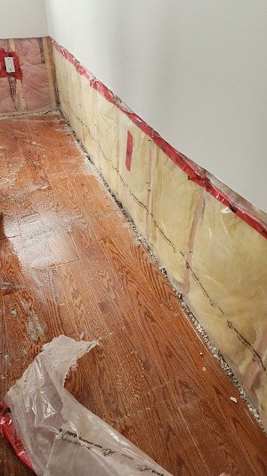 Residential Flood Damage