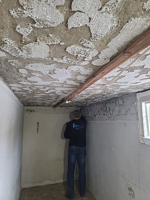 Cold room mold removal in North York