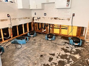 Residential Flood Damage