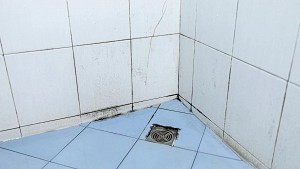 Washroom & Bathroom Mold Removal