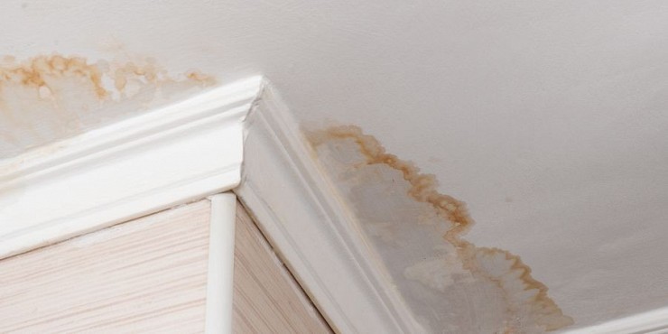 How to Minimize Secondary Water Damage