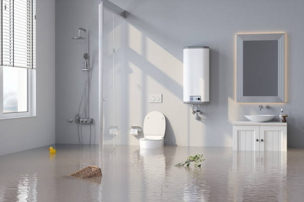 Sewage and Water Damage Clean-up Services GTA