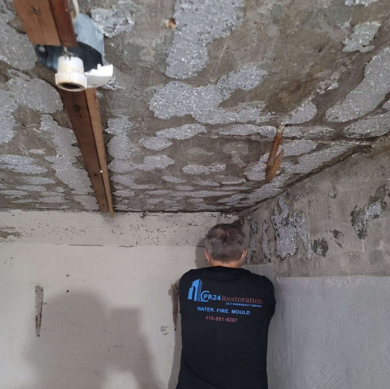 Cold room mold removal