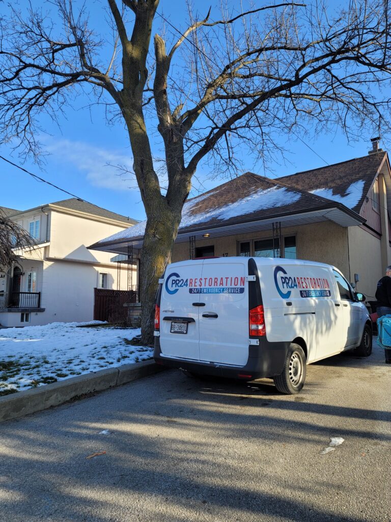Cold room mold removal North York