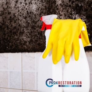 Why You Should Never DIY Mold Removal