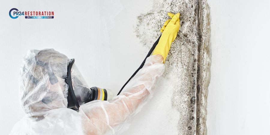 Benefits of Avoiding Do-It-Yourself Mold Removal