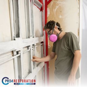Emergency Mold Restoration Services Being Conducted