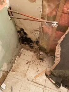 CPR24 Restoration of Oakville photo 5