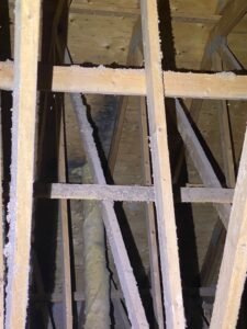 Attic roof sheathing and wooden framing inspected during a CPR24 Restoration mold project