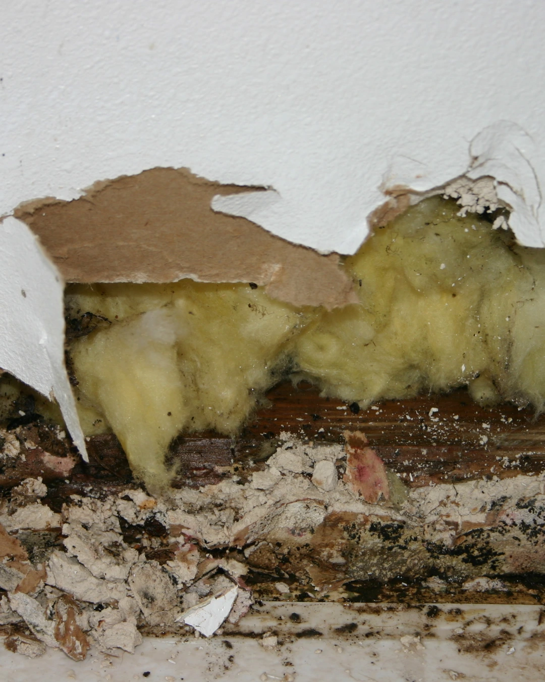 mold in ceiling