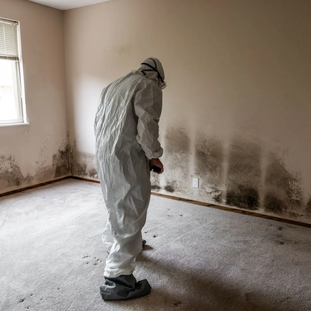 Water Damage & Mold Removal 7
