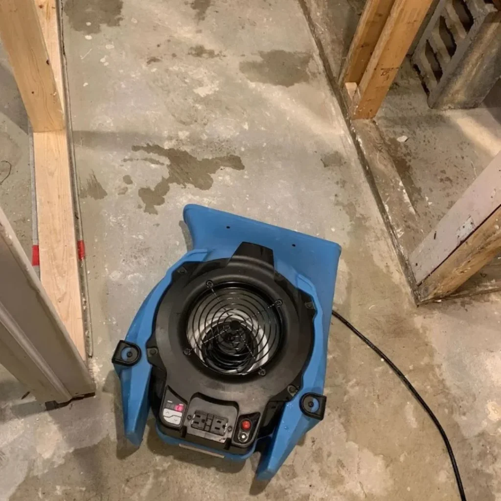 Water Damage & Mold Removal 9