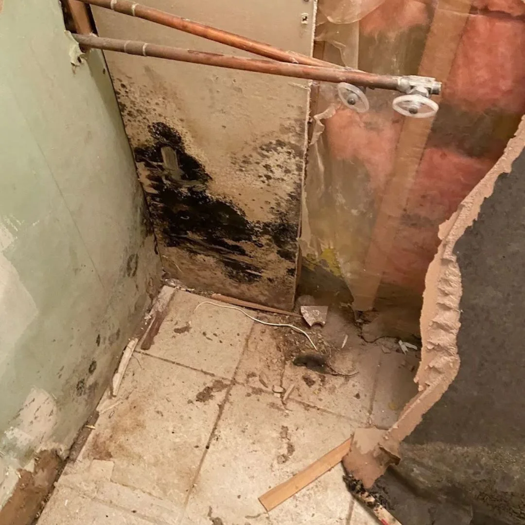 Water Damage & Mold Removal 31