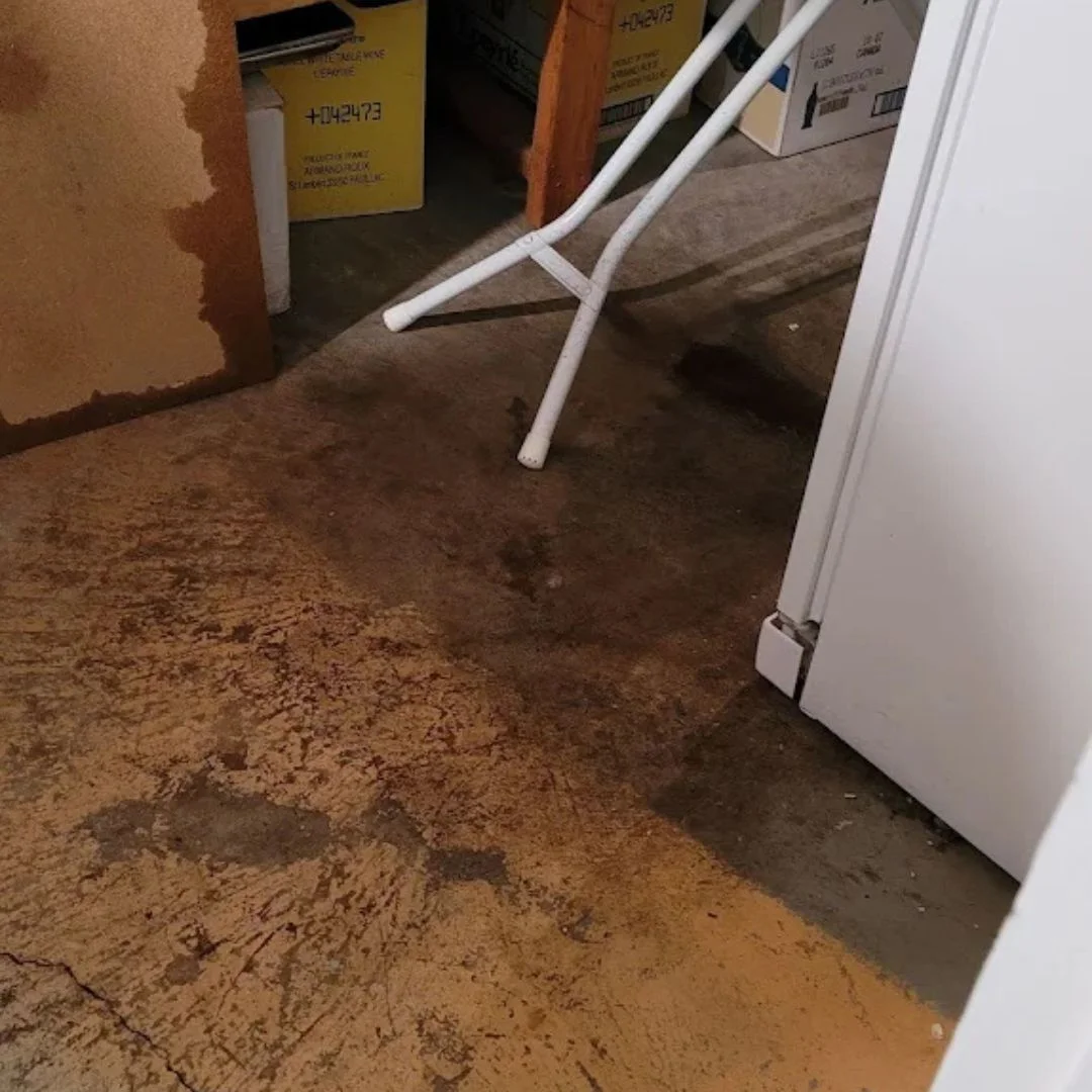 Water Damage & Mold Removal 30