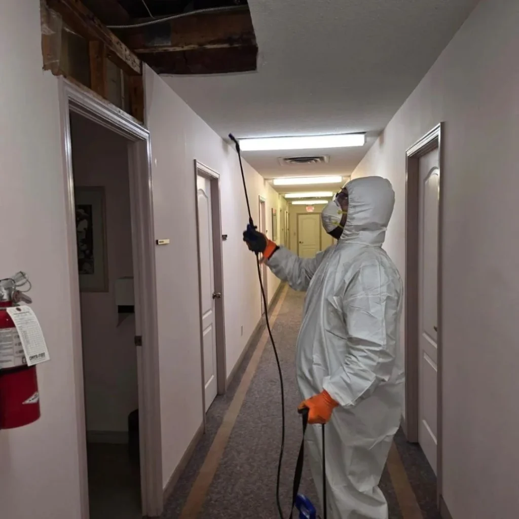 Water Damage & Mold Removal 41