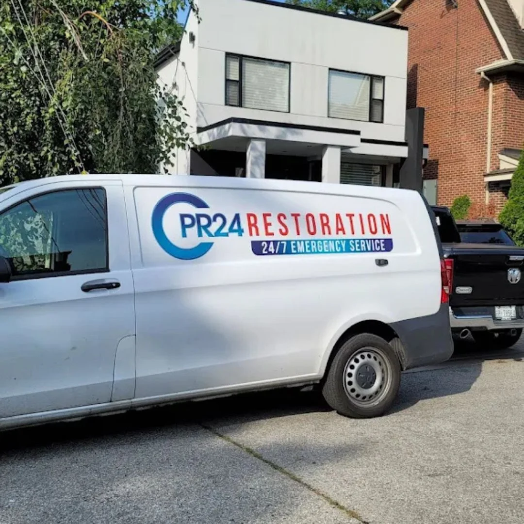 Water Damage & Mold Removal 38