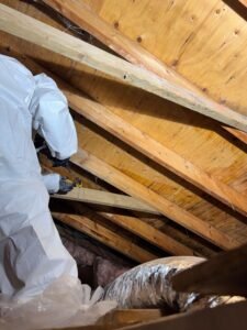 Mold Inspection in a Toronto Home.